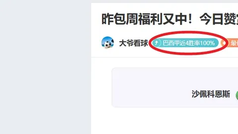 朱正携手中国男篮，共赴世界八强征程